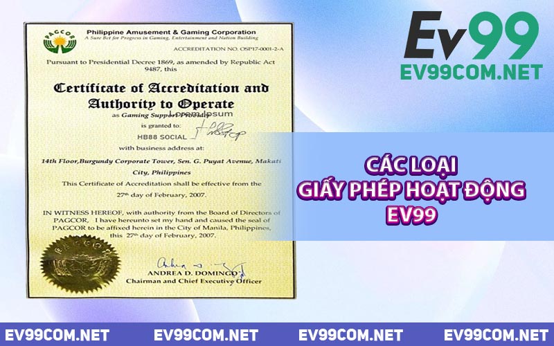 Các Loại Giấy Phép Hoạt Động EV99