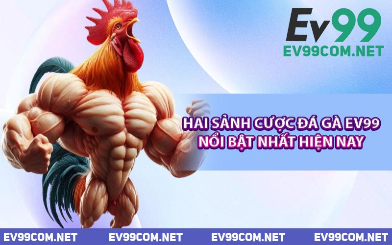 Hai Sảnh Cược Đá Gà EV99 Nổi Bật Nhất Hiện Nay